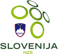 Flag of Nogometna zveza Slovenije